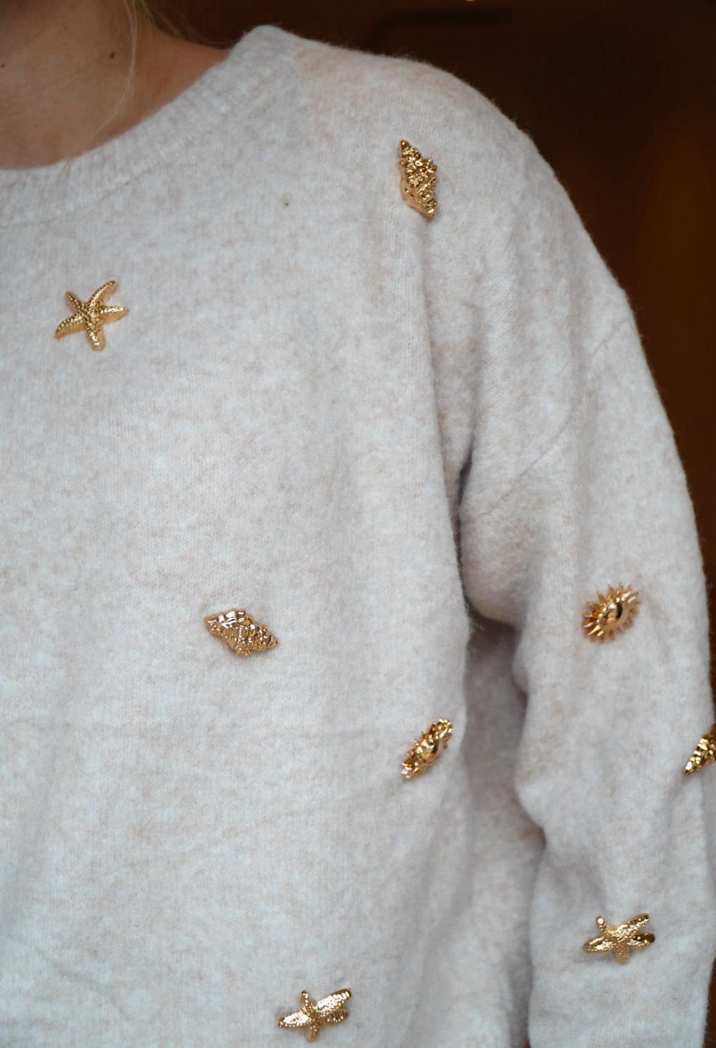 Trui Gouden Pajetten